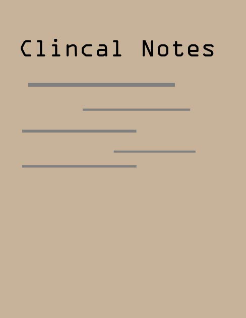 Clinical notes documentation